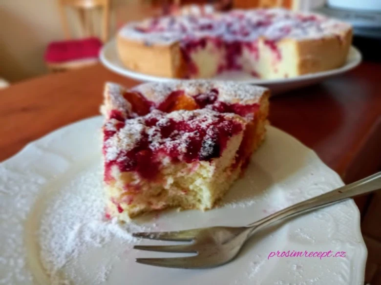 Kousek bublaniny s ovocem posypaný moučkovým cukrem na talíři.