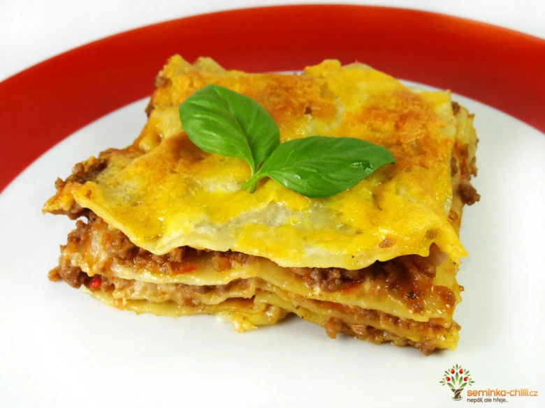 Kousek domácího lasagne s bazalkou na talíři