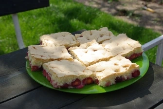 Zelený talíř s čerstvými bublaninami z piškotu s jahodami.