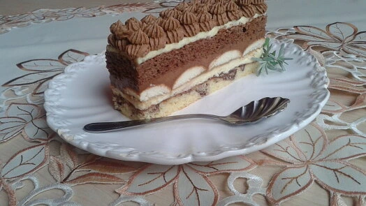 Slice of layered cake with cream and chocolate topping