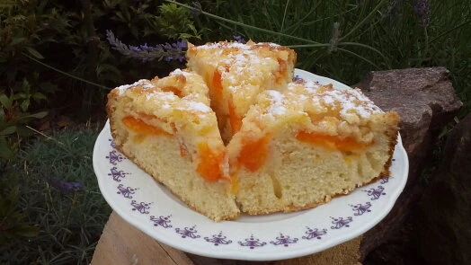 Apricot cake slices on plate