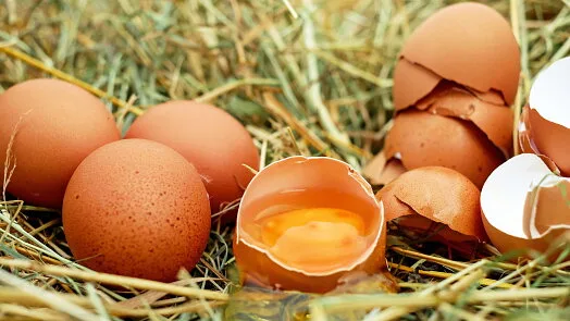 Čerstvá vejce v slámě připravená na vaření omelety.