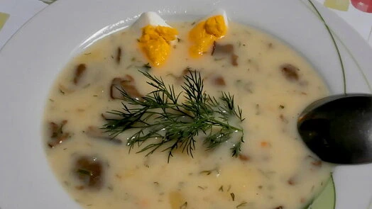 Kulajda s vejcem, koprem v misce vedle lžíce.