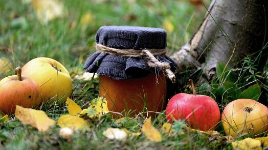 Sklenice domácí jablkové marmelády s čerstvými jableky na zemi.