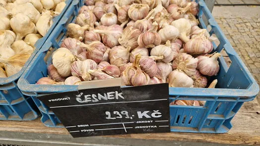 Svěží česnek v modrých krabicích na trhu s cenou za kilogram.