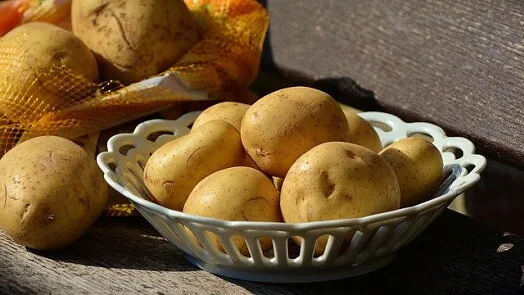 Brambory v bílé mřížové misce vedle sítě na dřevěném povrchu.