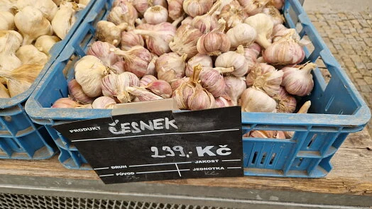 Čerstvý česnek v modrém košíku na trhu